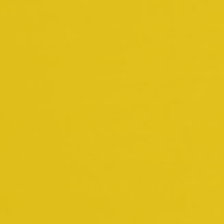 Polaris Chartreuse Grip Fit Roller Blind