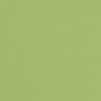 Polaris Green Grip Fit Roller Blind
