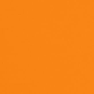 Polaris Tangerine Grip Fit Roller Blind