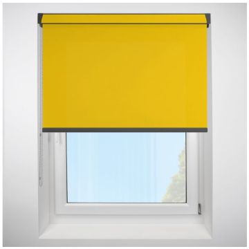 Polaris Sunshine Grip Fit Roller Blind with Anthracite Cassette