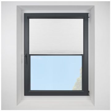 Intu Teila Swan Pleated Blind With Anthracite Cassette