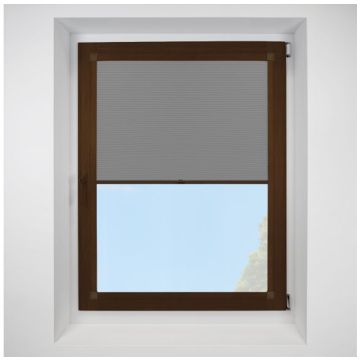Celeste Flint Perfect Fit Pleated Blinds with Mahogany Frame
