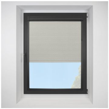 Aspen platinum Perfect Fit RollerPleated Blind